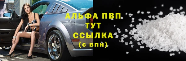прущие грибы Абинск