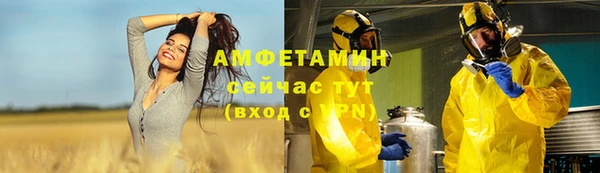 прущие грибы Абинск