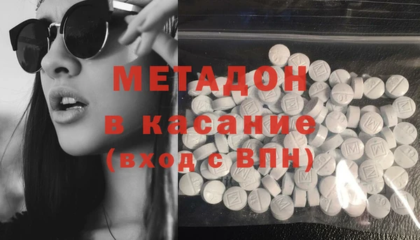 прущие грибы Абинск