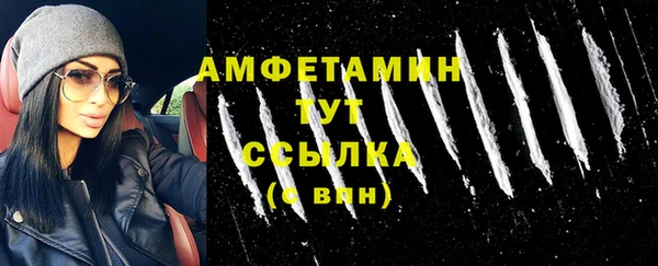 прущие грибы Абинск