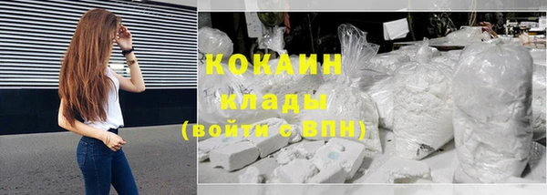 прущие грибы Абинск